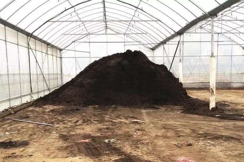 开云 开云体育官网分享丨26万株！让辰山的“蓝眼睛”治愈你(图1)