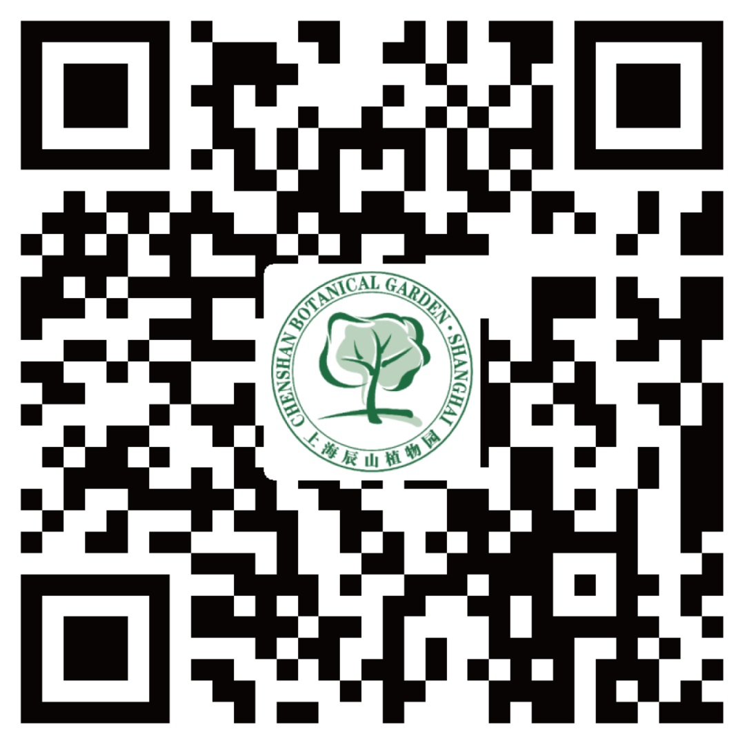 开云 开云体育官网分享丨26万株！让辰山的“蓝眼睛”治愈你(图10)