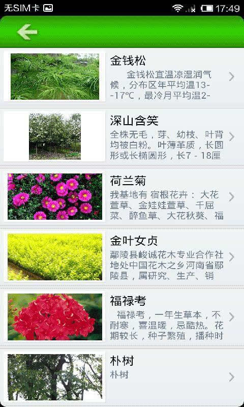 开云APP 开云官网入口园林绿化网：一站式苗木交易移动信息平台(图2)