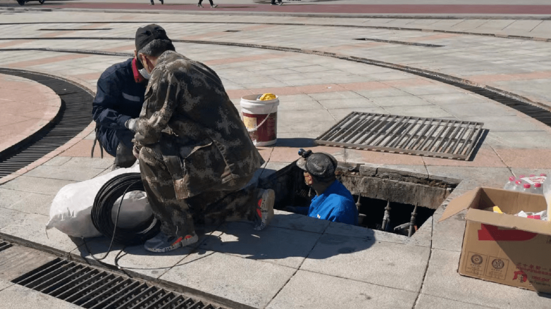 开云体育 开云平台园林绿化服务中心： 加强精细化管理 增强市民幸福感(图4)