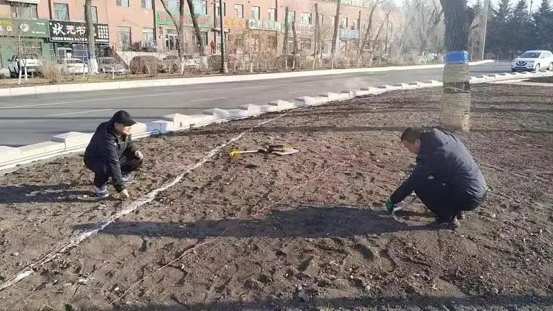 开云 开云体育平台北安市春季园林绿化工作如火如荼(图3)