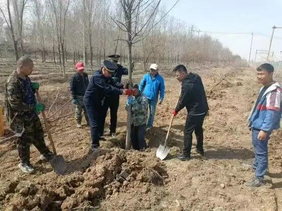 机场路补植2500余株树木 打造一条漂亮的景观大道开云APP 开云官网入口(图1)