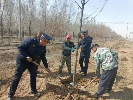 机场路补植2500余株树木 打造一条漂亮的景观大道开云APP 开云官网入口(图2)