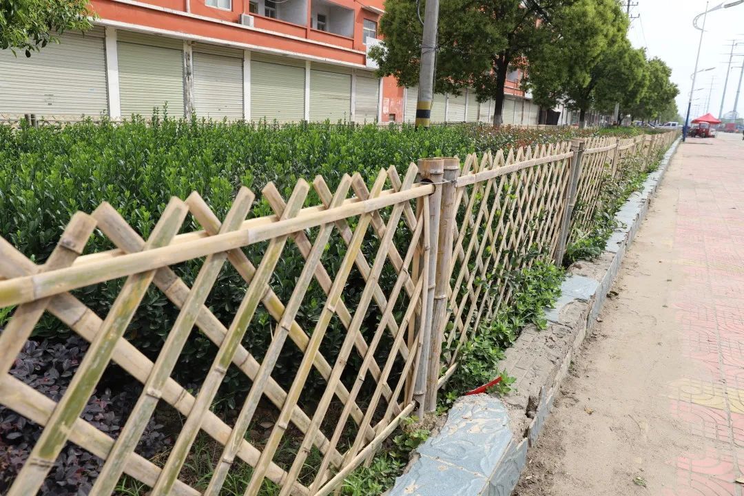 劳动最光荣丨曾都园开云体育 开云平台林绿化工人忙(图5)