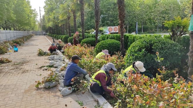 城乡一Kaiyun 开云体化示范区城管局扎实推进拆墙透绿工程(图1)