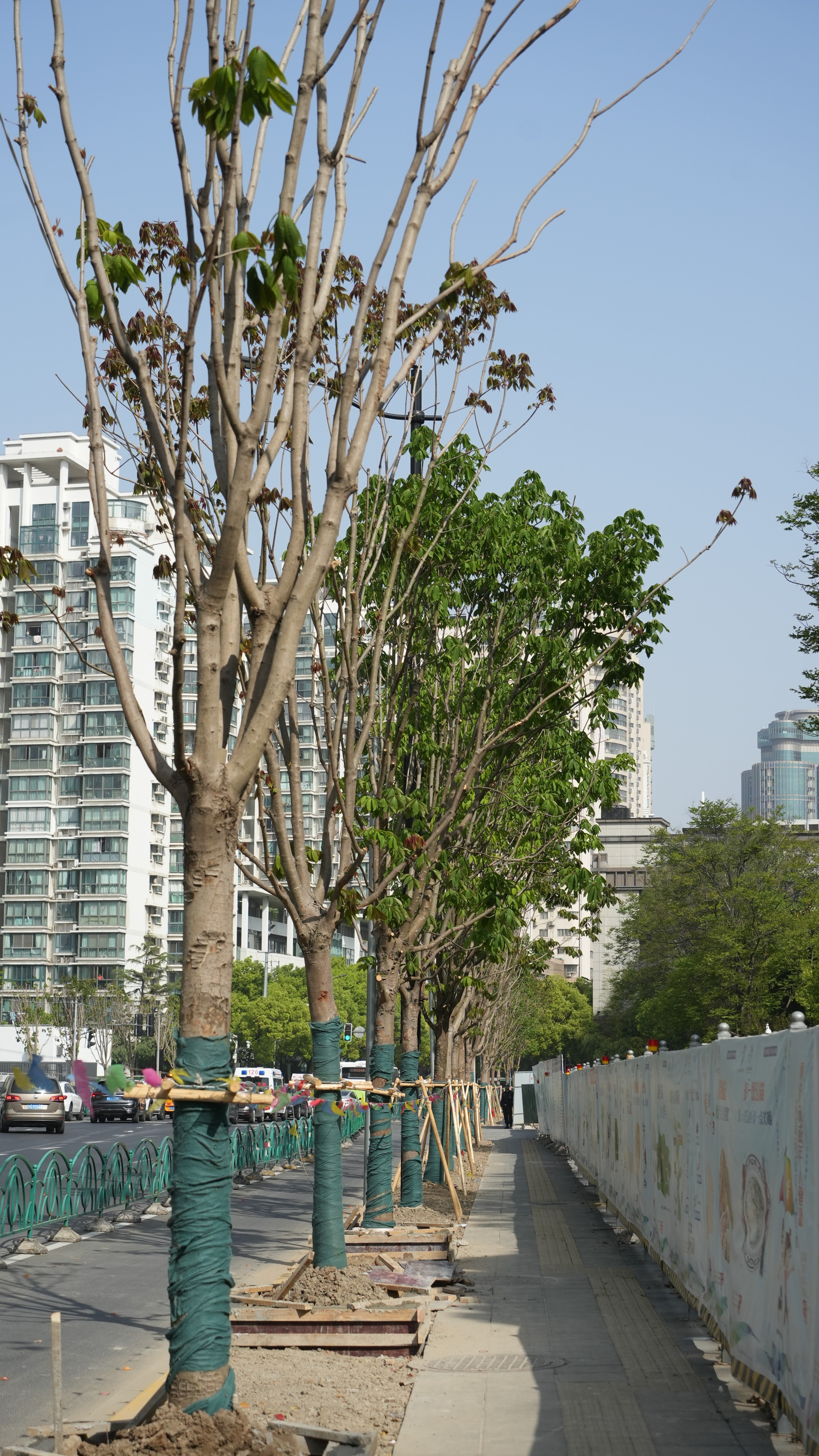 开云体育 开云平台武宁南路绿化恢复项目：地铁工地变绿地花园旧貌换新颜(图2)