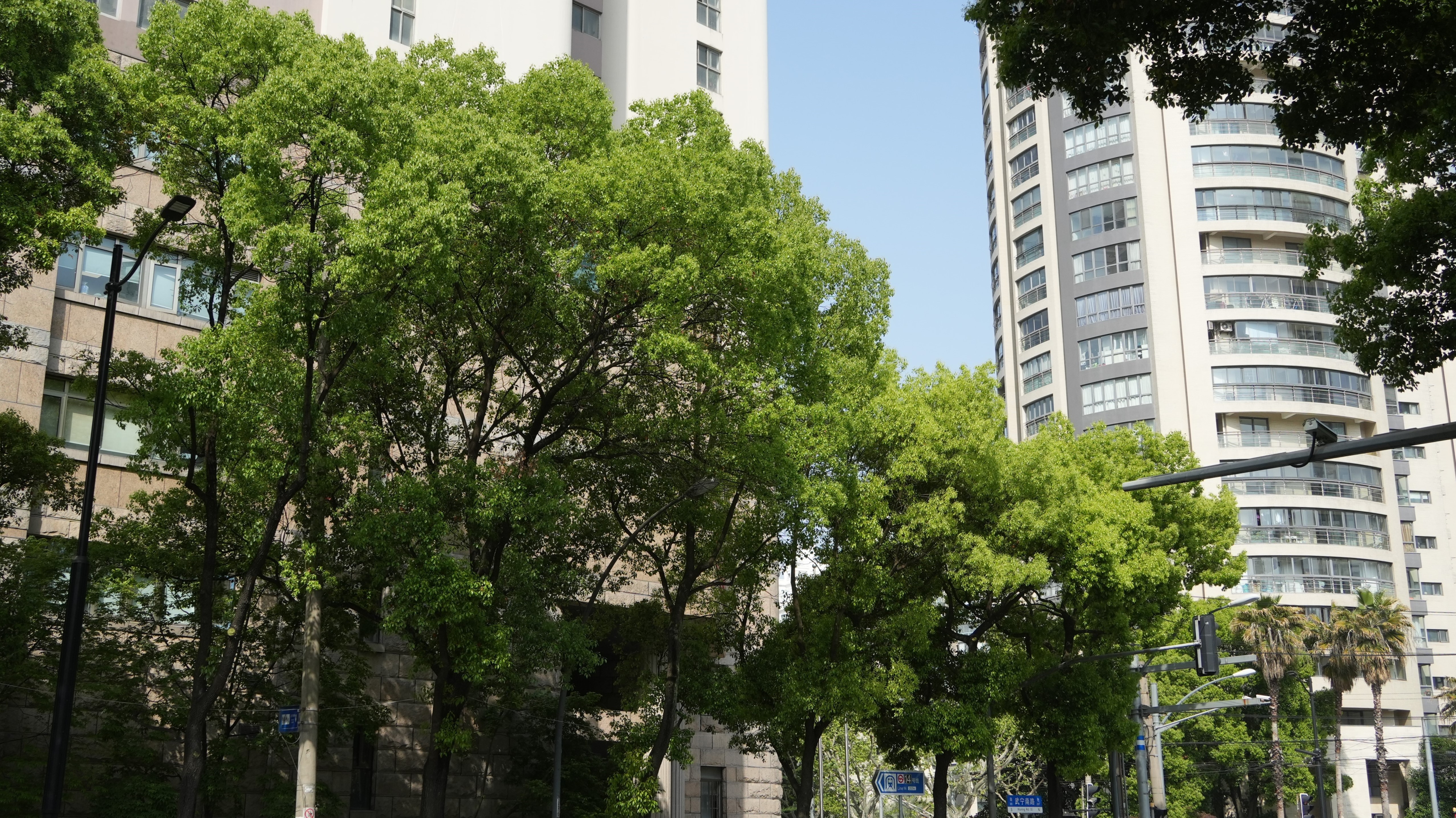 开云体育 开云平台武宁南路绿化恢复项目：地铁工地变绿地花园旧貌换新颜(图11)