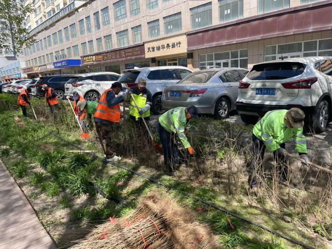精细化管理园林植物 增强城市“绿色颜值”开云体育 开云官网(图1)