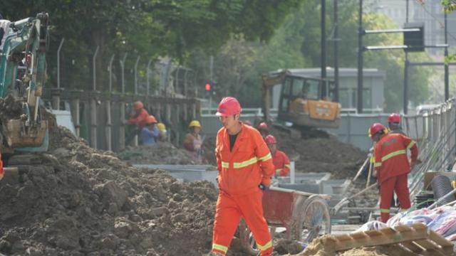 一起来探班！武宁南路沿线绿化恢复工Kaiyun 开云程亮点→(图7)