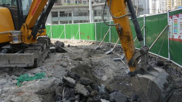一起来探班！武宁南路沿线绿化恢复工Kaiyun 开云程亮点→(图15)