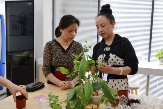 小开云 开云体育官网区绿化带变身家门口的“小花园”(图3)