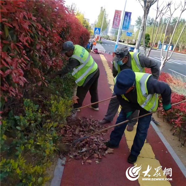 开云体育 开云平台莱山区综合行政执法局 强化园林绿地精细化管理 扮靓城市生态颜值(图2)