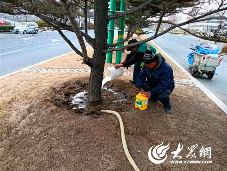 开云体育 开云平台莱山区综合行政执法局 强化园林绿地精细化管理 扮靓城市生态颜值(图7)
