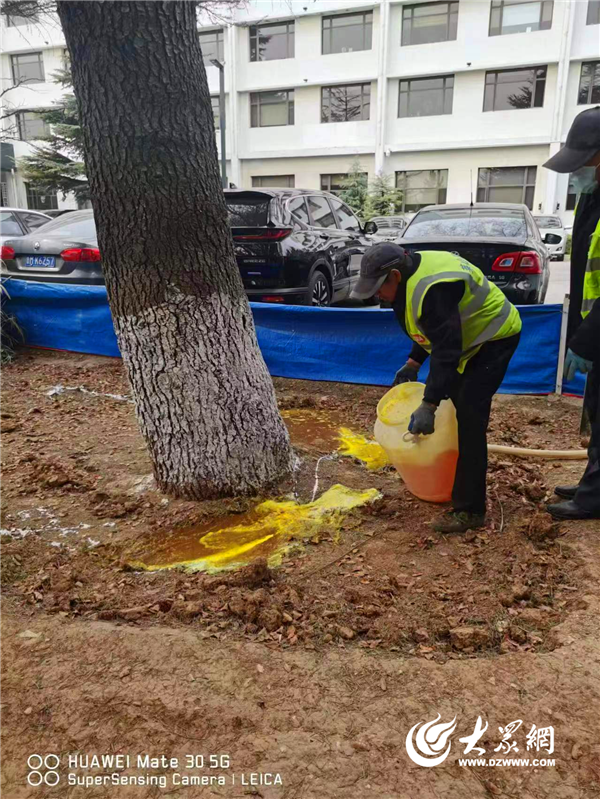 开云体育 开云平台莱山区综合行政执法局 强化园林绿地精细化管理 扮靓城市生态颜值(图8)
