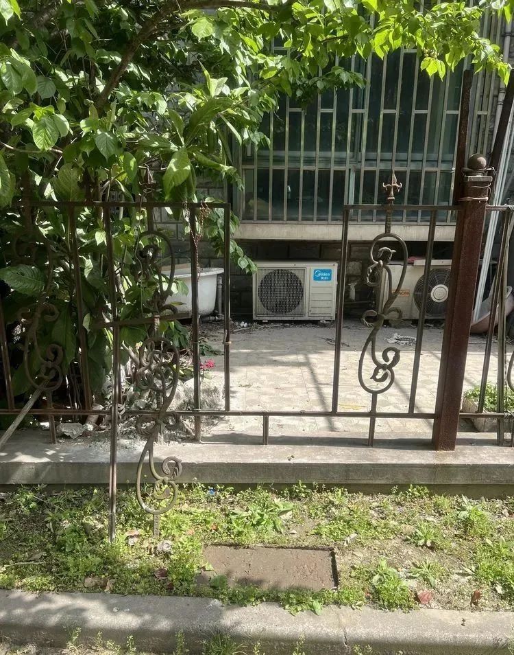 开云体育 开云官网铲除“私家花园”他们让小区绿化指数翻倍(图2)