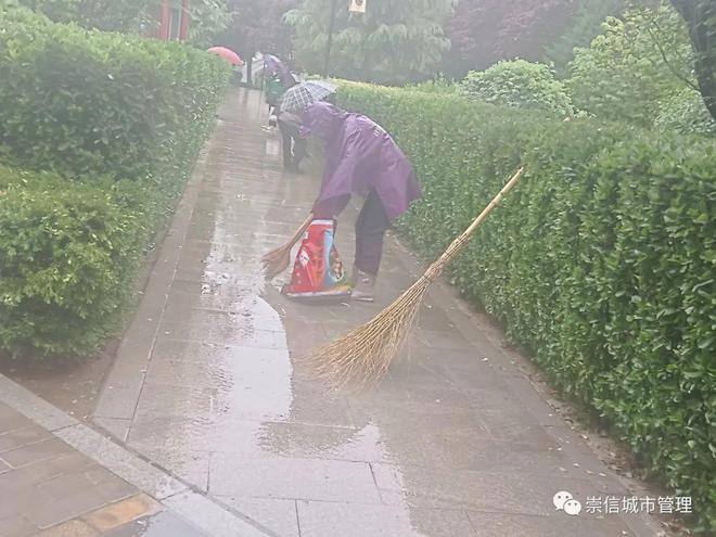 开云体育 开云官网园林绿化整治不停步 城市景观形象再提升(图3)