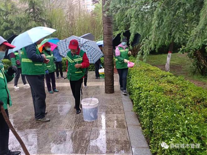 开云体育 开云官网园林绿化整治不停步 城市景观形象再提升(图1)