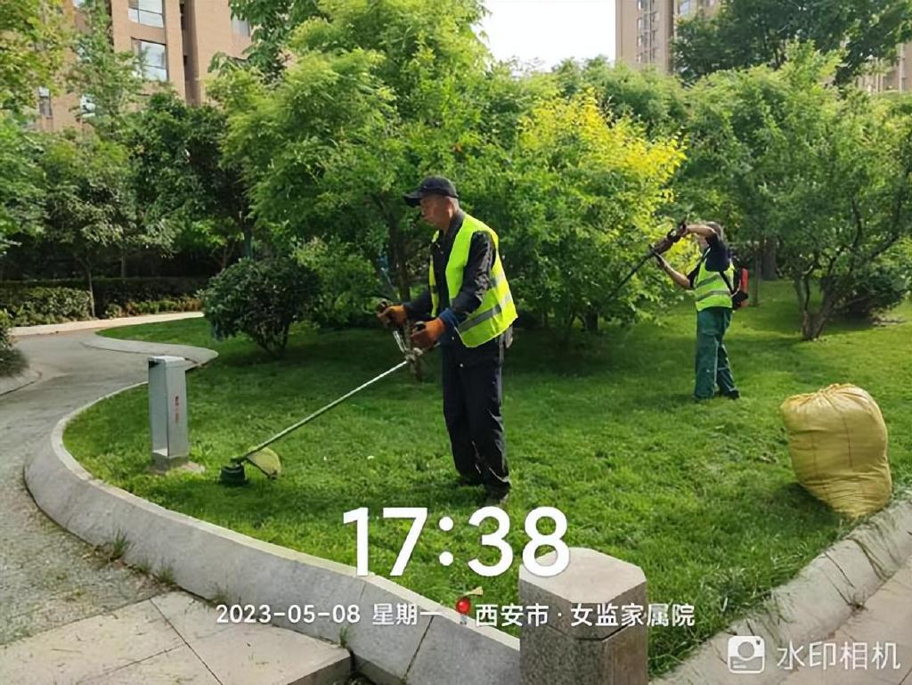 未央区城管局：科学养护 精准施策 扎实做好园林绿化管护工作开云APP 开云官网入口(图3)