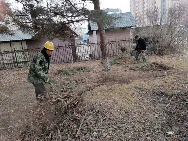 敦化市住建局加强春季绿化养护工作Kaiyun 开云(图3)