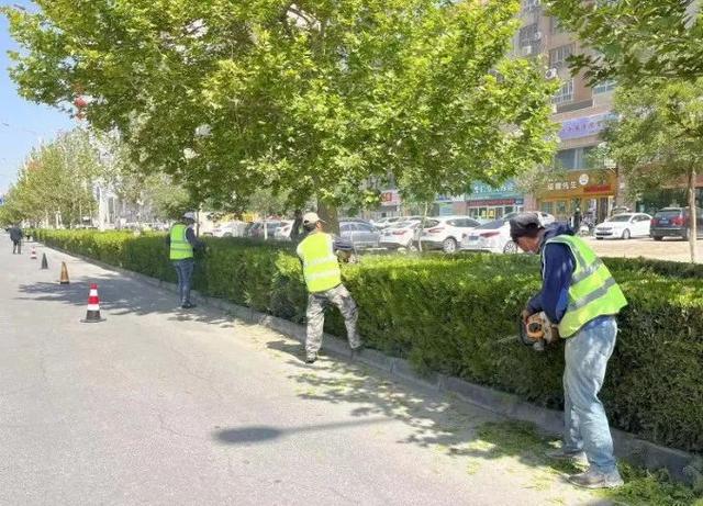 开云体育 kaiyun.com 官网入口库尔勒：扎实推进园林绿化工作 助力国家生态园林城市创建(图1)