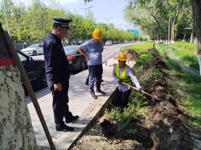 开云APP 开云官网入口以建为引领 推进园林绿化监管工作(图1)