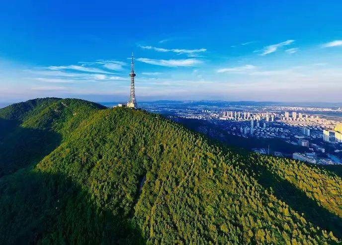 我市出台城市园林绿化高质量发展实施意见开云 开云体育平台(图1)