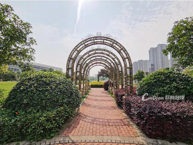 绿绿绿！蔡甸这个宝藏城市公园斩获省级优质开云体育 开云平台(图3)