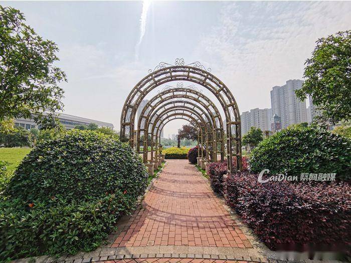 武汉蔡甸西环公园获评2022年度湖北省园林绿化优质工程Kaiyun 开云(图3)