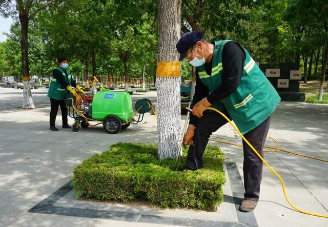 寿光市加强夏季绿化树木病开云体育 开云平台虫害防治(图3) 寿光市加强夏季绿化树木病开云体育 开云平台虫害防治(图3)