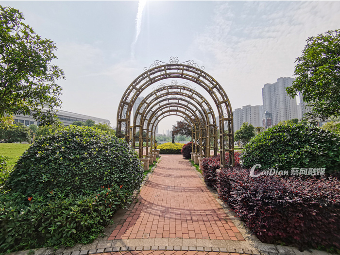 绿绿绿！武汉蔡甸这个宝藏城市公园斩获省级优质开云 开云体育平台(图3)