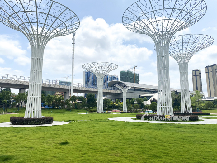 绿绿绿！武汉蔡甸这个宝藏城市公园斩获省级优质开云 开云体育平台(图2)