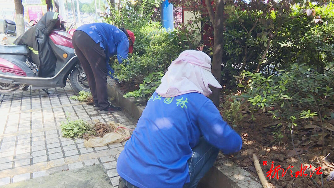开云体育 开云平台冷水江市园林绿化服务中心 开展补植补栽 助力“创文”工作开展(图1)