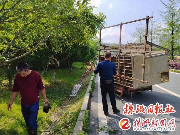 荷塘城管推进园林绿化整治 助力“百日攻坚”行动开云 开云体育平台(图2)