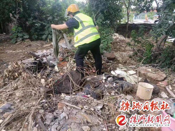 荷塘城管推进园林绿化整治 助力“百日攻坚”行动开云 开云体育平台(图3)