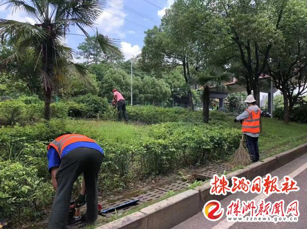 荷塘城管推进园林绿化整治 助力“百日攻坚”行动开云 开云体育平台(图4)