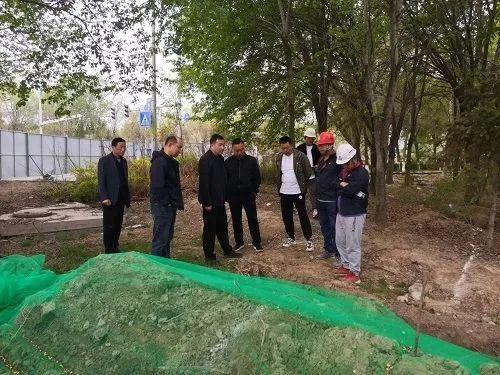 开云体育 kaiyun.com 官网入口全力以赴推进园林绿化精品工程建设(图1)