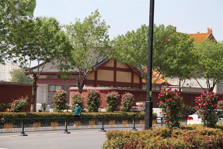 绿满汴梁苍翠万顷 生态园林花香四季——开封市国家园林城市创建成果展示开云体育 kaiyun.com 官网入口(图4)