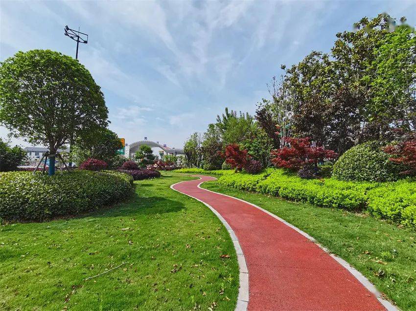绿满汴梁苍翠万顷 生态园林花香四季——开封市国家园林城市创建成果展示开云体育 kaiyun.com 官网入口(图3)