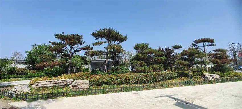 绿满汴梁苍翠万顷 生态园林花香四季——开封市国家园林城市创建成果展示开云体育 kaiyun.com 官网入口(图16)