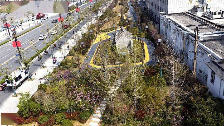 绿满汴梁苍翠万顷 生态园林花香四季——开封市国家园林城市创建成果展示开云体育 kaiyun.com 官网入口(图12)