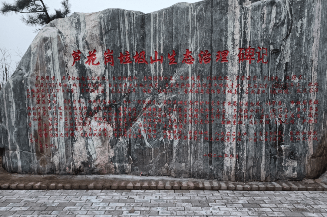 绿满汴梁苍翠万顷 生态园林花香四季——开封市国家园林城市创建成果展示开云体育 kaiyun.com 官网入口(图10)