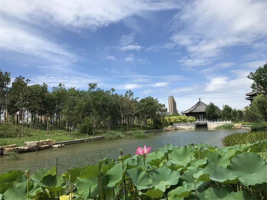绿满汴梁苍翠万顷 生态园林花香四季——开封市国家园林城市创建成果展示开云体育 kaiyun.com 官网入口(图15)