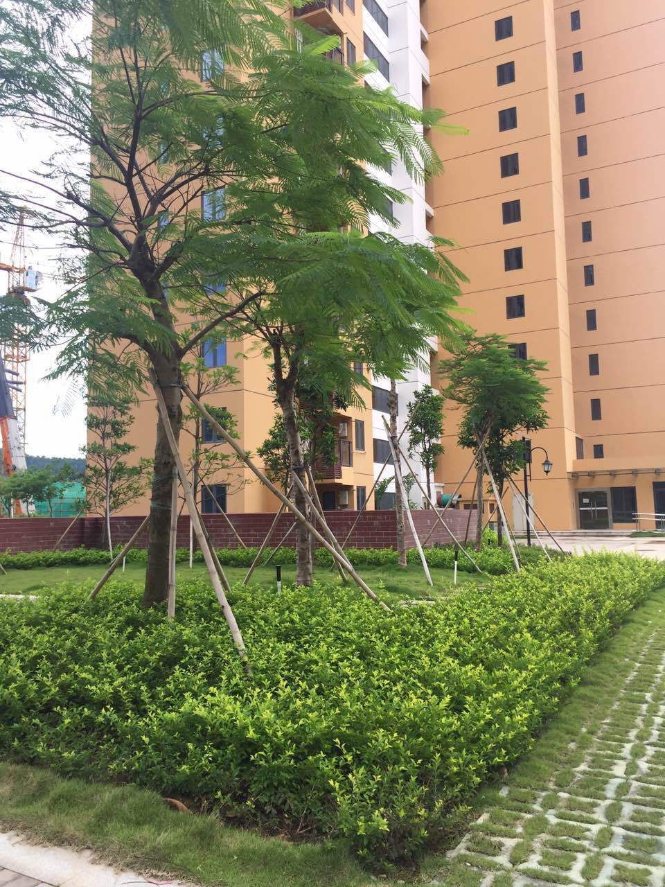 开云体育 开云官网绿化与园林有什么区别？(图1)
