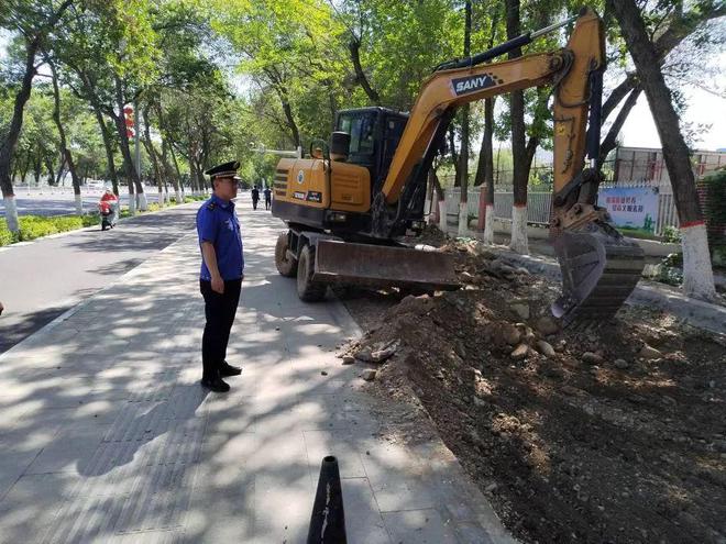 园林绿化养护中心开展林床绿地环境卫生整治行动开云体育 开云平台(图3)