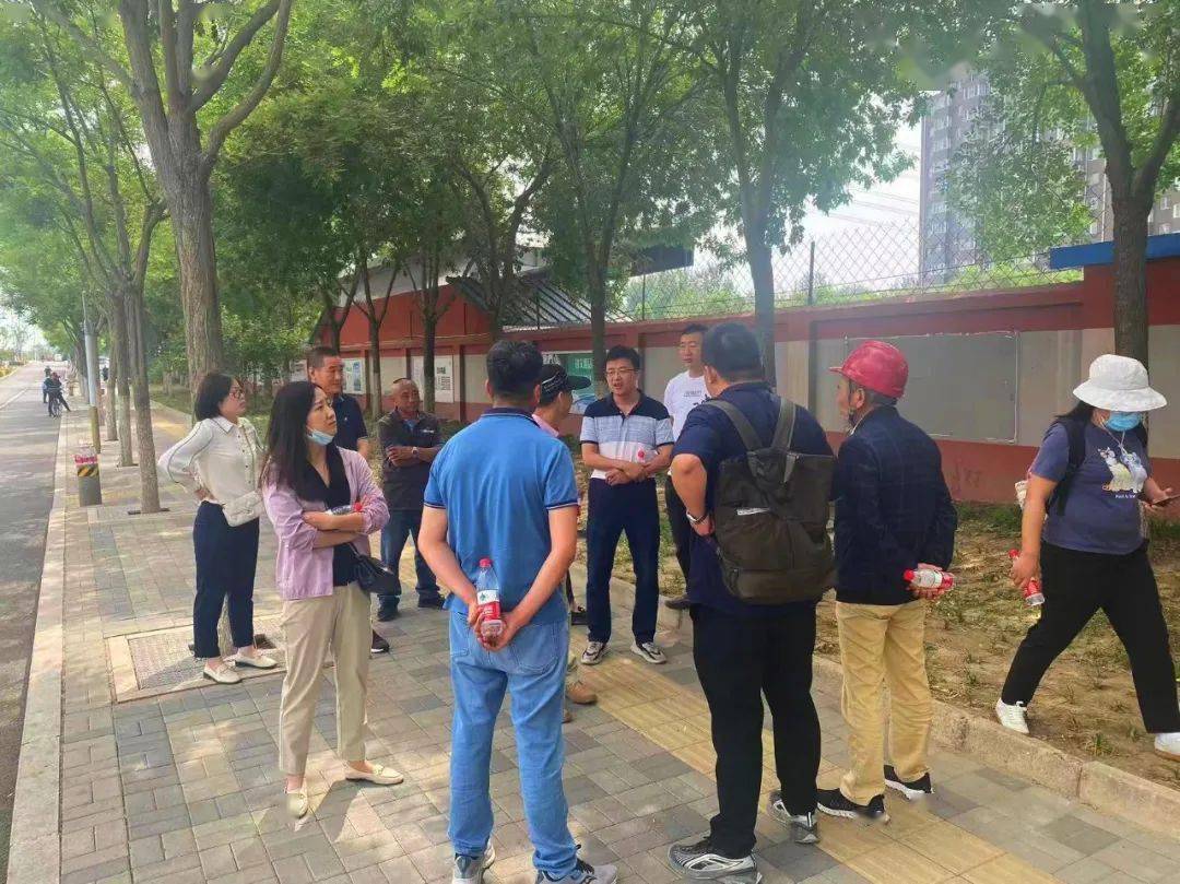 通州区园林绿化局对北京城市副中心林荫路改造提升工程开展现场调研开云体育 kaiyun.com 官网入口(图2)