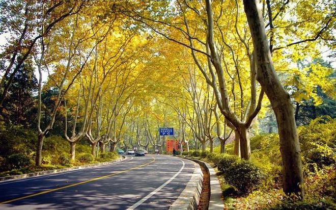 园林景观道路如何设计开云APP 开云官网入口？(图5)