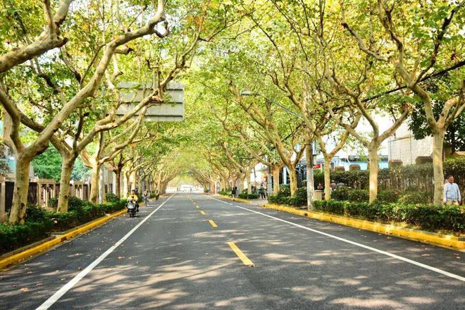 园林景观道路如何设计开云APP 开云官网入口？(图2)