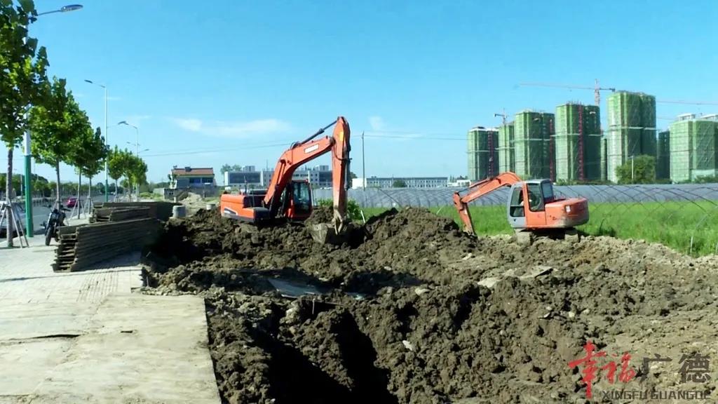 提升城市园林绿化 助力文明城市创建Kaiyun 开云(图1)