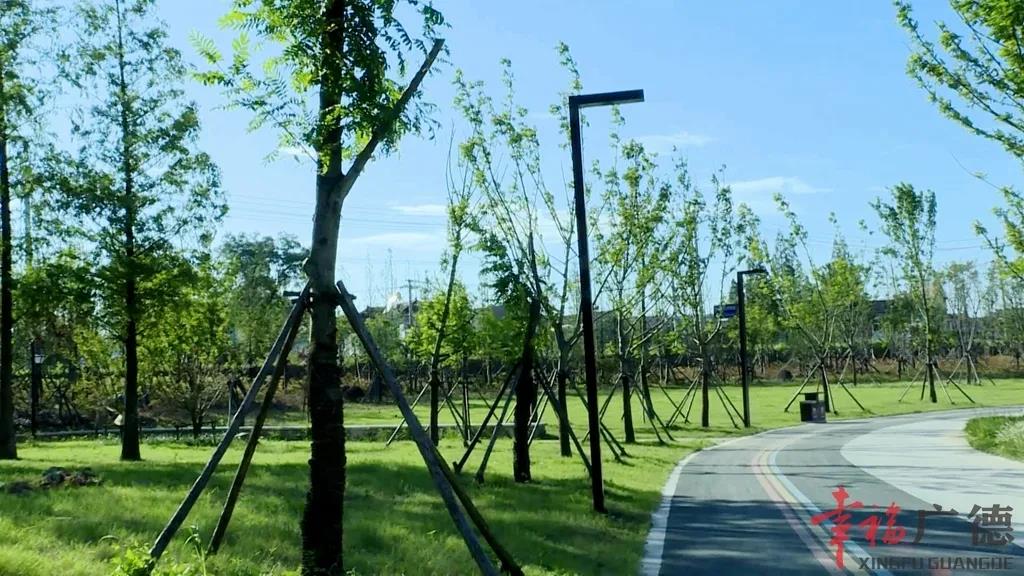 提升城市园林绿化 助力文明城市创建Kaiyun 开云(图2)