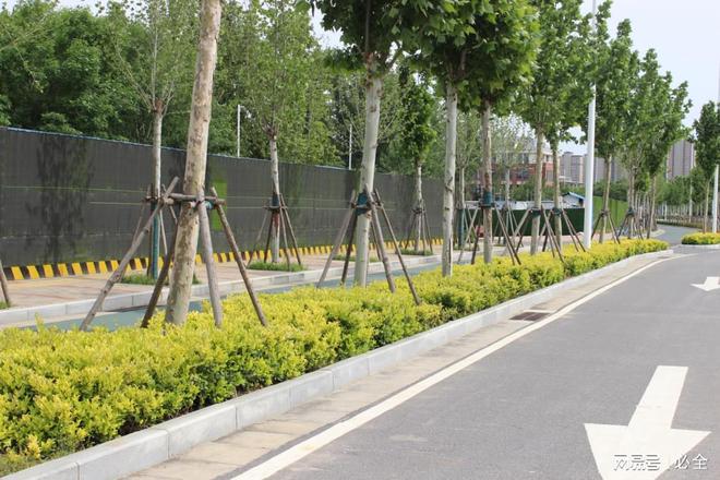 开云体育 开云官网园林绿化植物材料的搭配组合应用和修剪管理(图1)